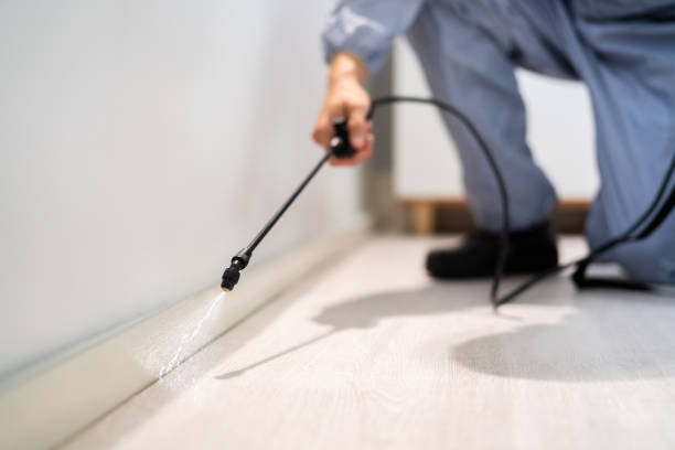 Licensed Fumigation Services service in Congress, AZ - Nex Pest Control